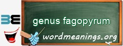 WordMeaning blackboard for genus fagopyrum